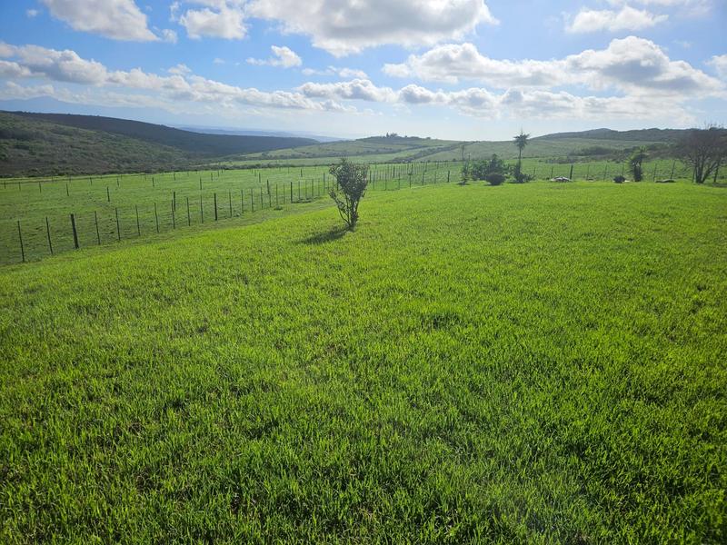 4 Bedroom Property for Sale in Mossel Bay Rural Western Cape
